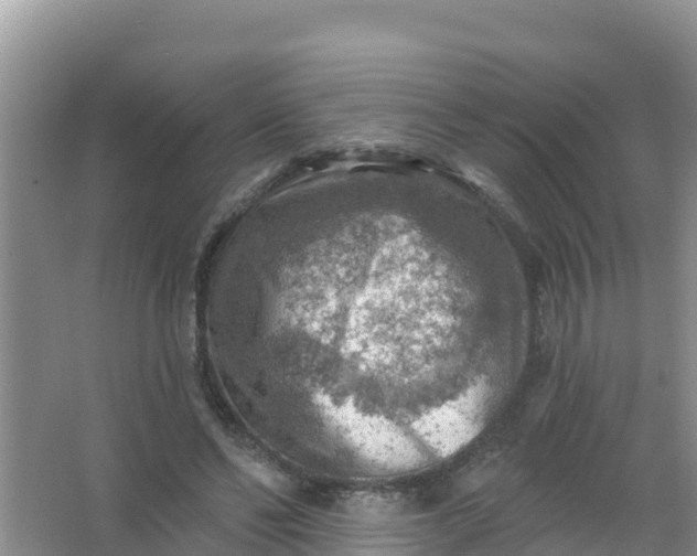 X0000066950494200604071942