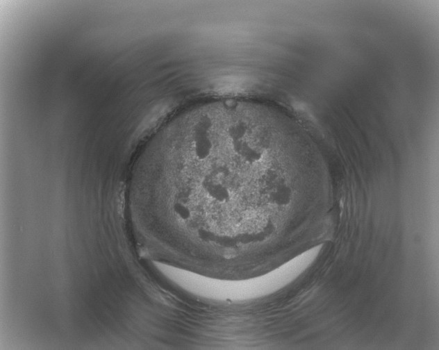 X0000066950495200604071942