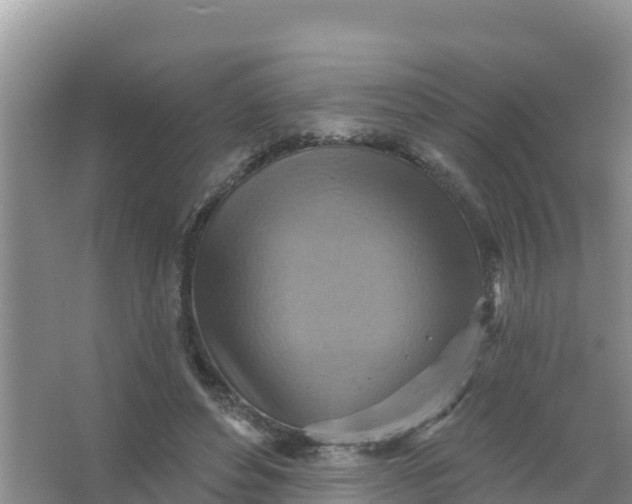 X0000066950496200604071942