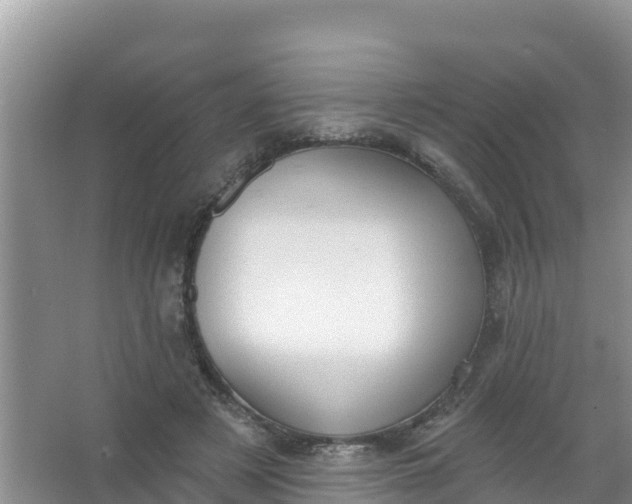 X0000066950497200604071942