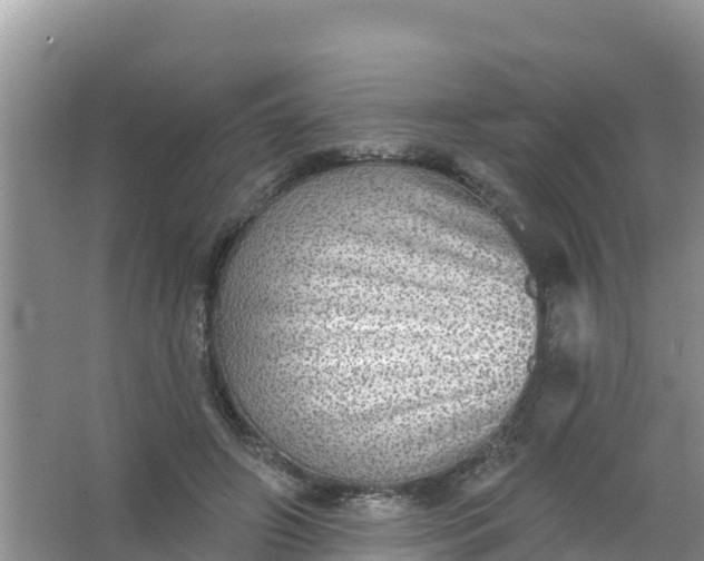 X0000066950498200604071942