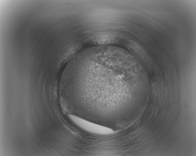 X0000066950499200604071942