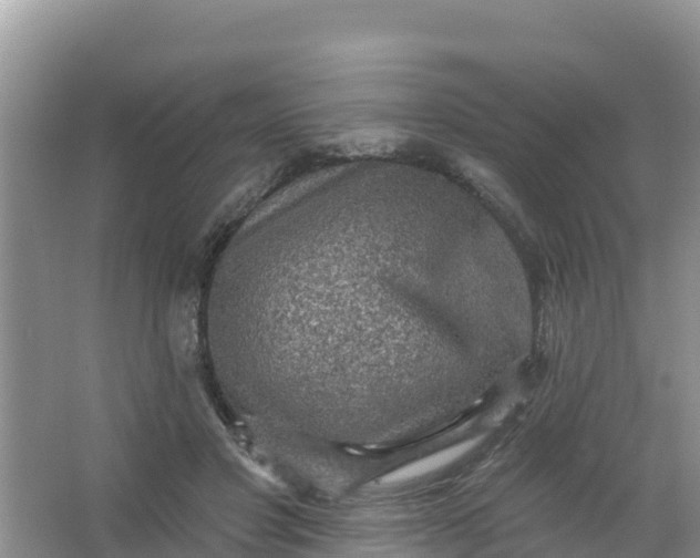 X0000066950501200604071942