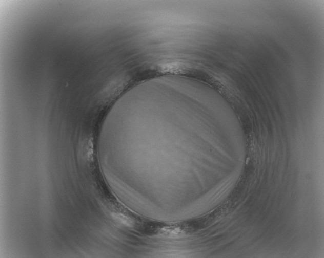 X0000066950502200604071942