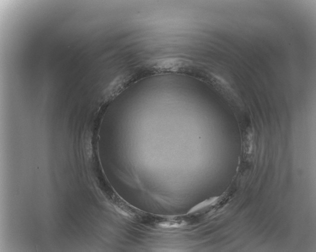 X0000066950504200604071942