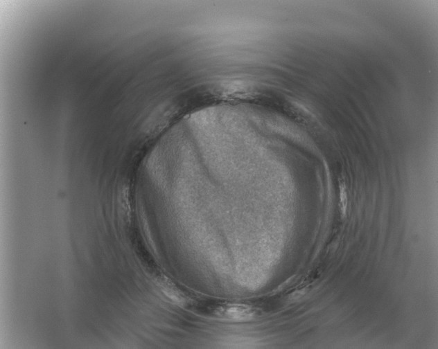 X0000066950506200604071942