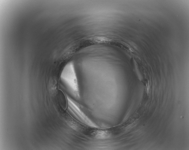 X0000066950507200604071942