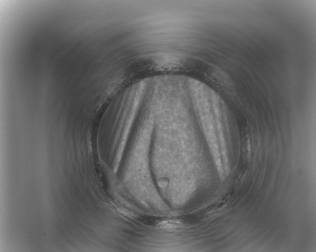 X0000066950508200604071942