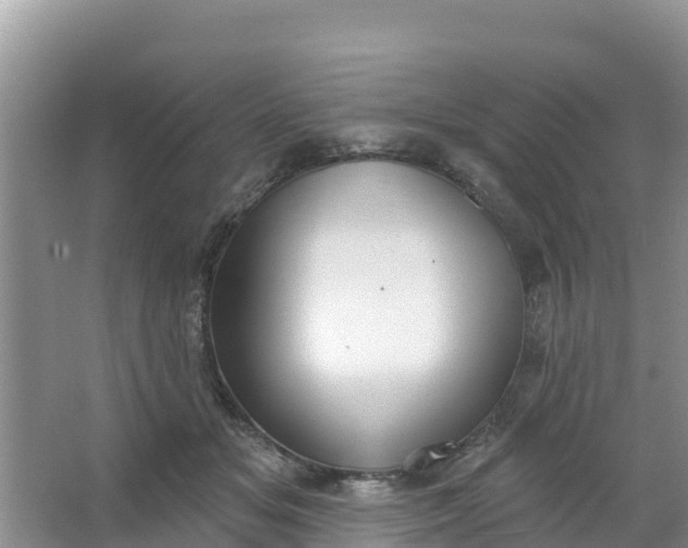 X0000066950509200604071942