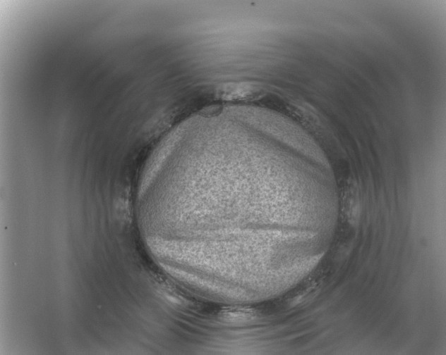 X0000066950510200604071942