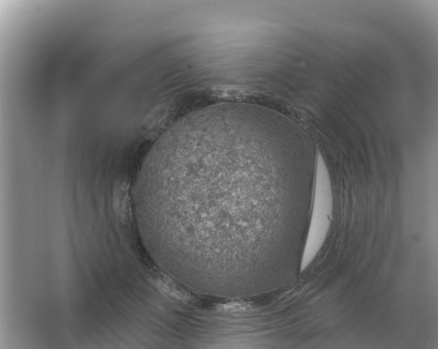 X0000066950511200604071942