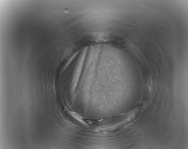 X0000066950512200604071942