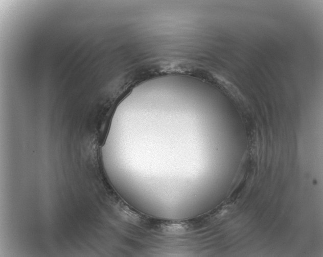 X0000066950513200604071942