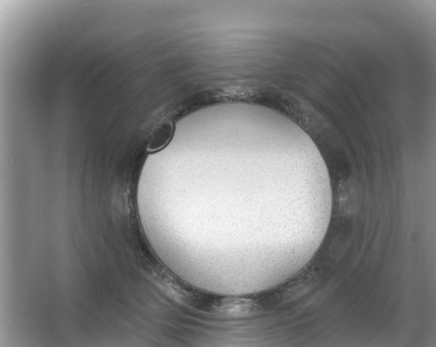 X0000066950514200604071942