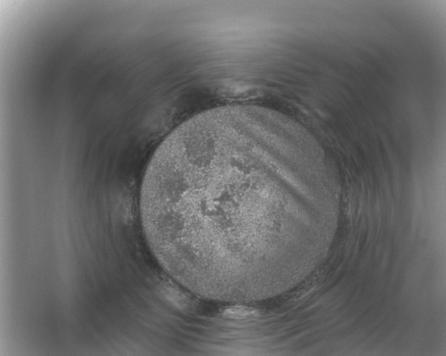 X0000066950515200604071942