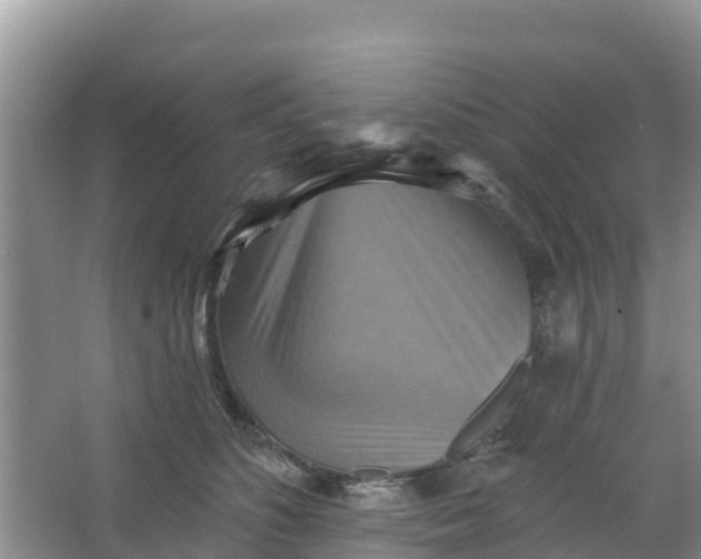 X0000066950516200604071942