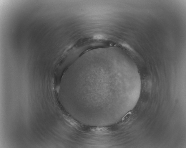 X0000066950517200604071942