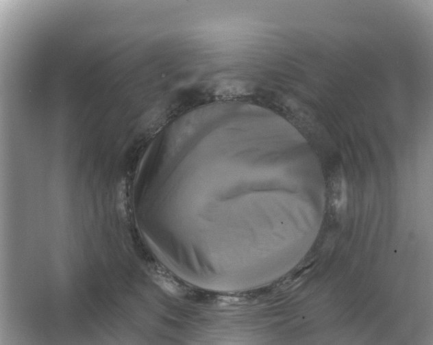 X0000066950519200604071942