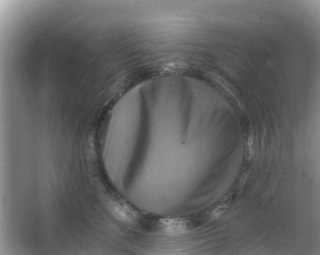 X0000066950520200604071942