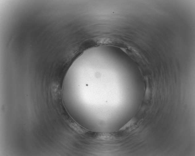 X0000066950521200604071942