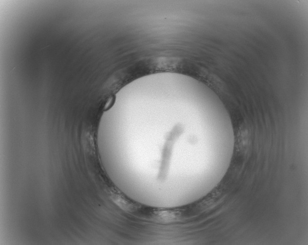 X0000066950522200604071942