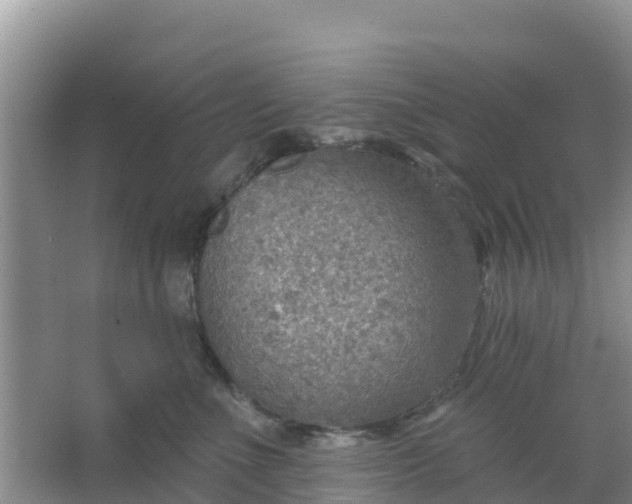 X0000066950523200604071942