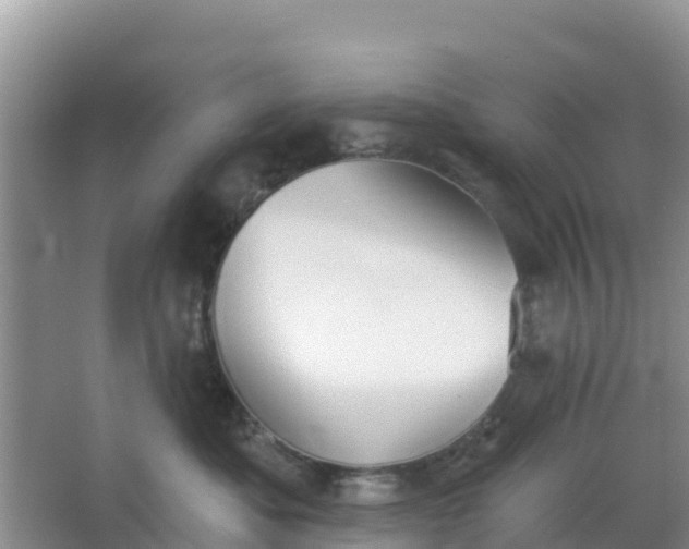 X0000066950525200604071941