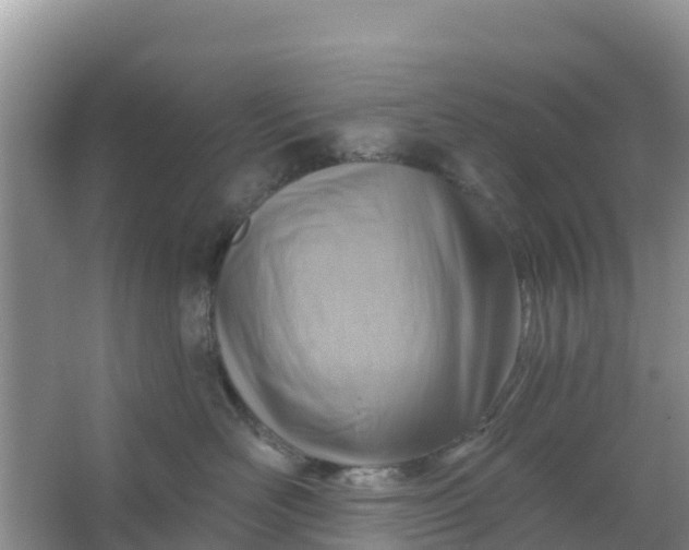 X0000066950526200604071941