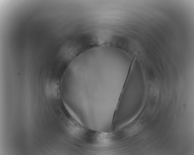 X0000066950527200604071941