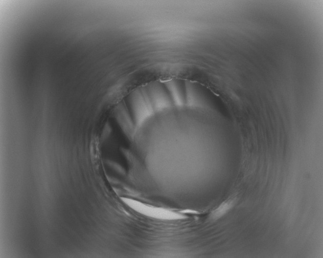 X0000066950528200604071941