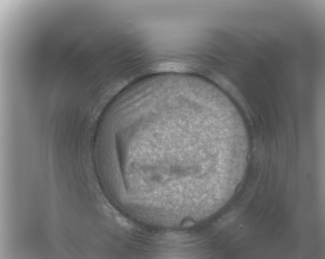 X0000066950529200604071941