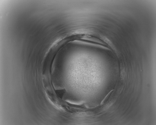 X0000066950530200604071941