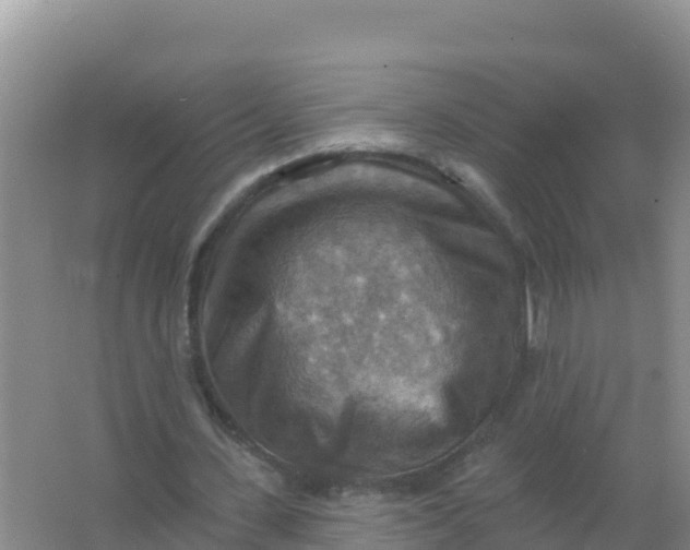 X0000066950531200604071941