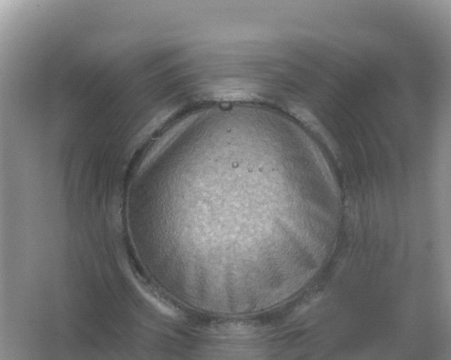 X0000066950533200604071941