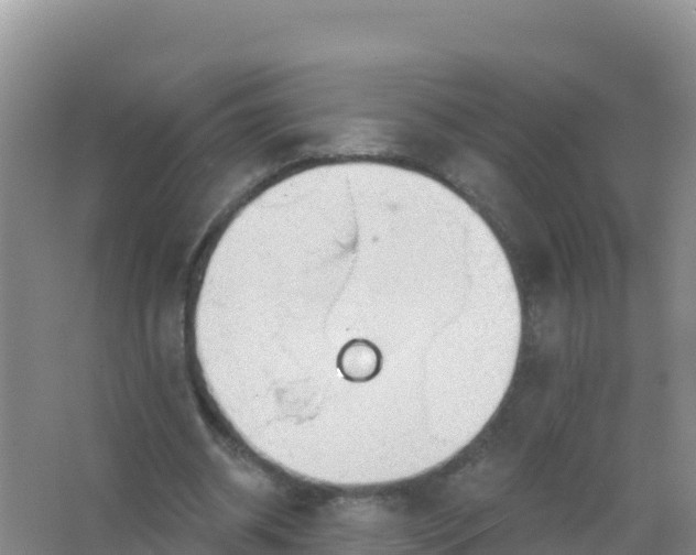 X0000066950534200604071941