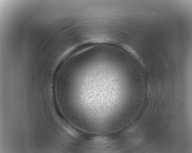 X0000066950535200604071941