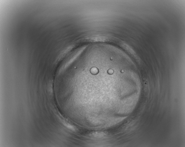 X0000066950537200604071941