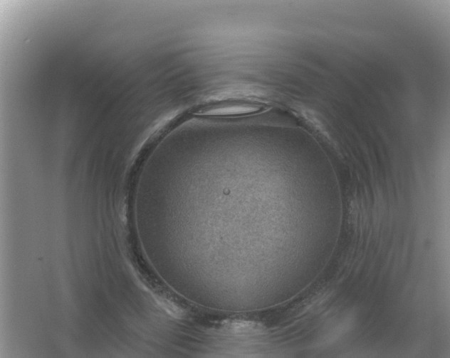 X0000066950539200604071941