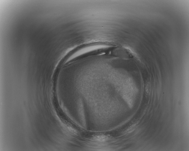 X0000066950540200604071941