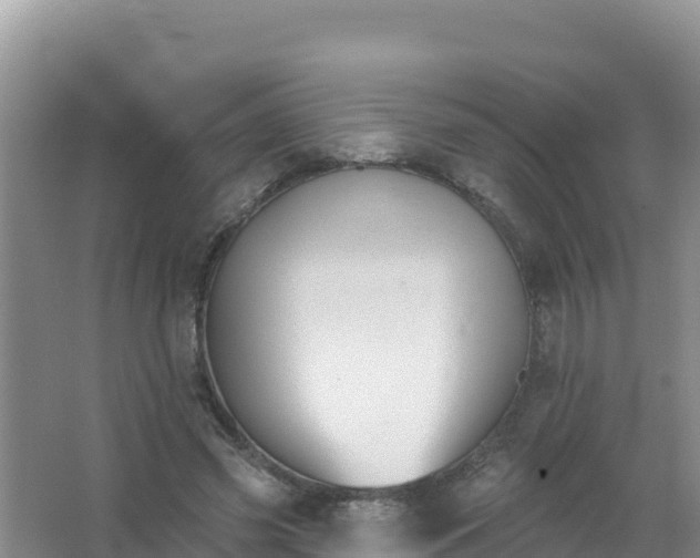 X0000066950541200604071941