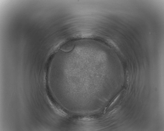 X0000066950542200604071941