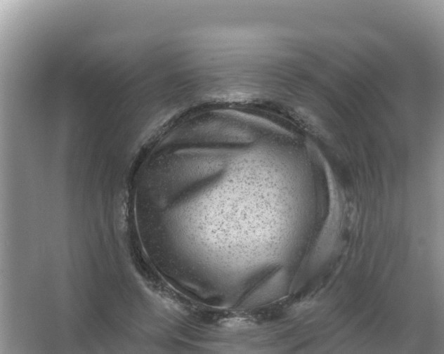 X0000066950544200604071941