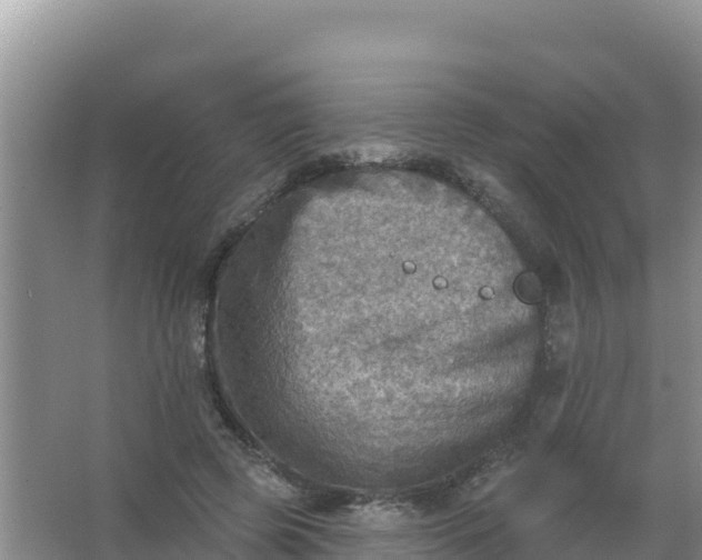 X0000066950545200604071941