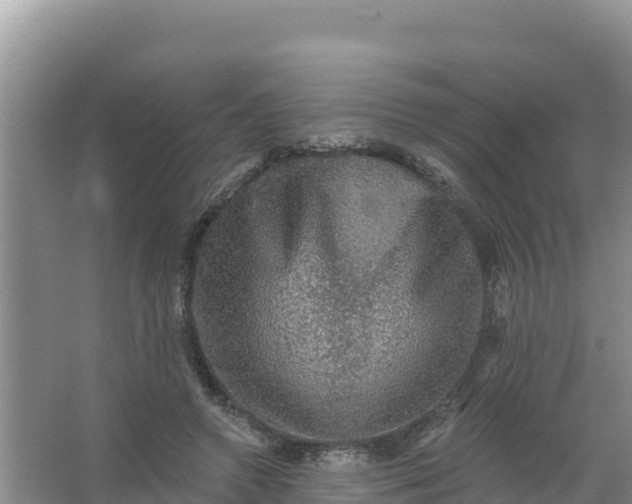 X0000066950546200604071941