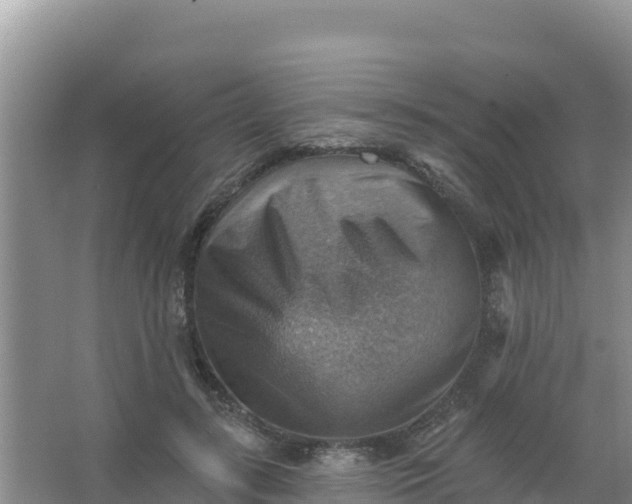 X0000066950547200604071941