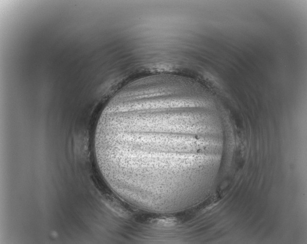 X0000066950548200604071941