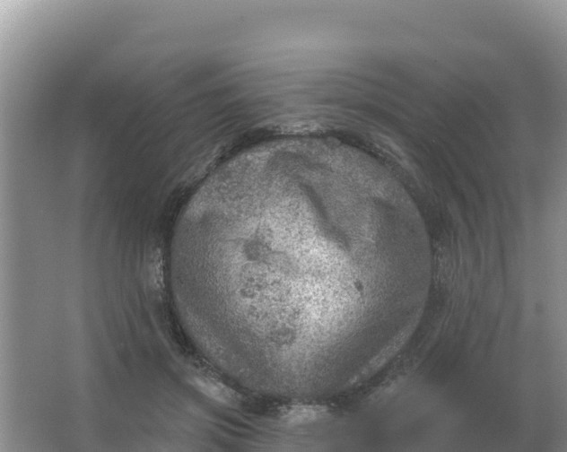 X0000066950549200604071941