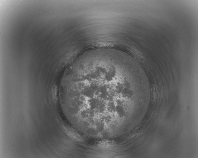 X0000066950550200604071941