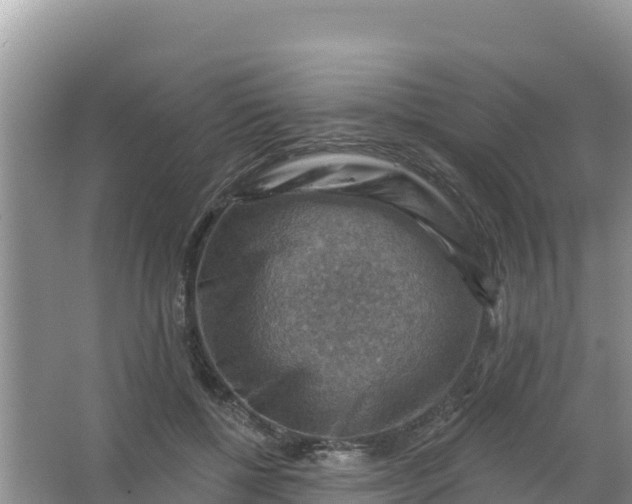 X0000066950552200604071941