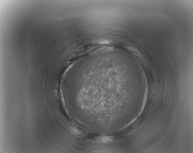 X0000066950553200604071941